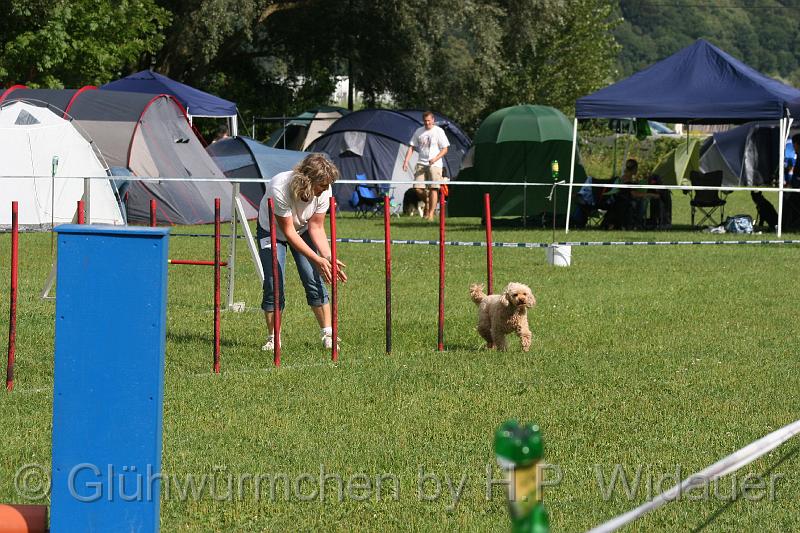 gluehwuermchen08 094 (63).jpg